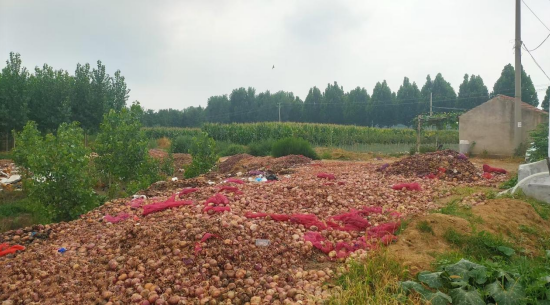 微信图片_20250805085629_468.png
